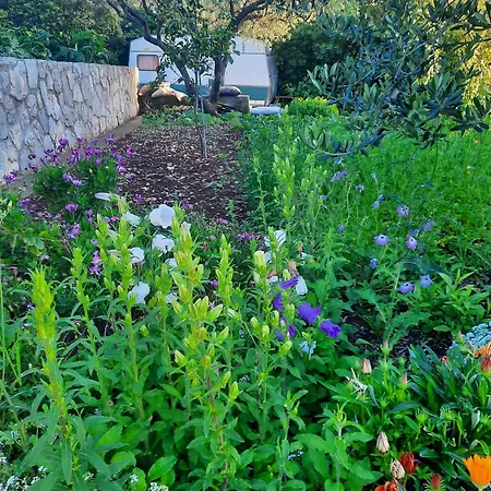 By The Sea Luka Dubrava, Peljesac - 21647 *